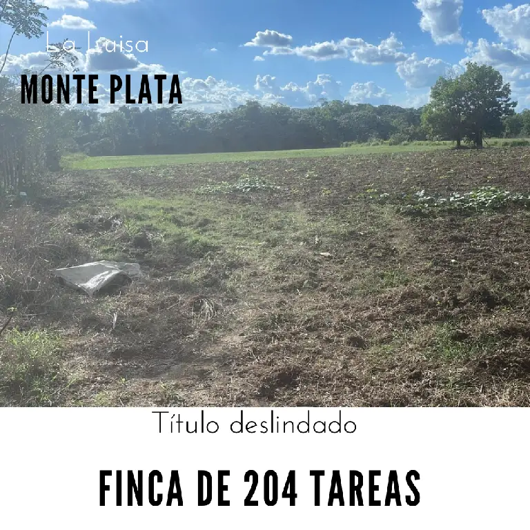 Finca de 204 tareas sembradas de limón en Luisa Foto 7270633-1.jpg