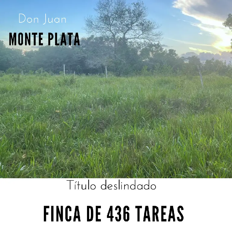 Finca de 436 tareas vocación Ganadera y Agrícola  en Monte Plata Foto 7270634-1.jpg
