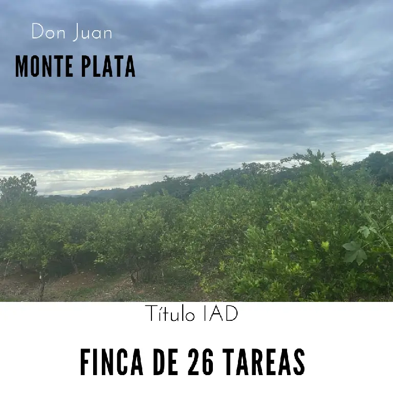 Finca de 26 tareas Sembradas de limón en Monte Plata Foto 7270635-1.jpg