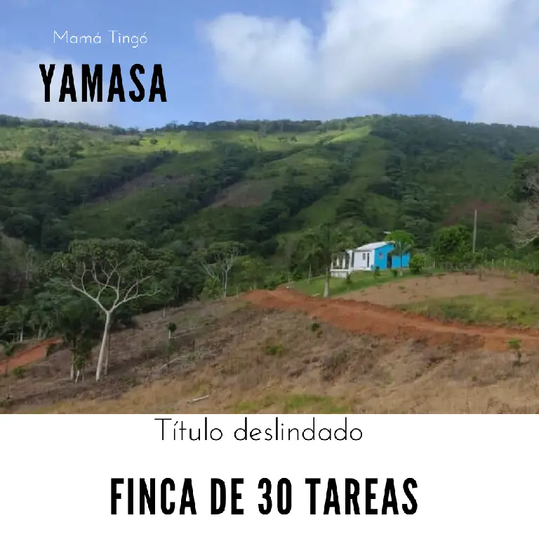 Finca de 30 tareas con casa campestre en Yamasá  Foto 7270729-1.jpg