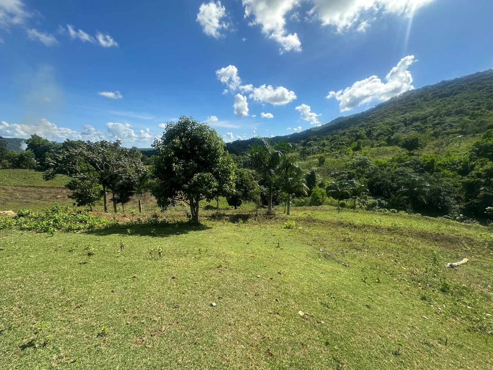 Finca de 30 tareas con casa campestre en Yamasá  Foto 7270729-12.jpg