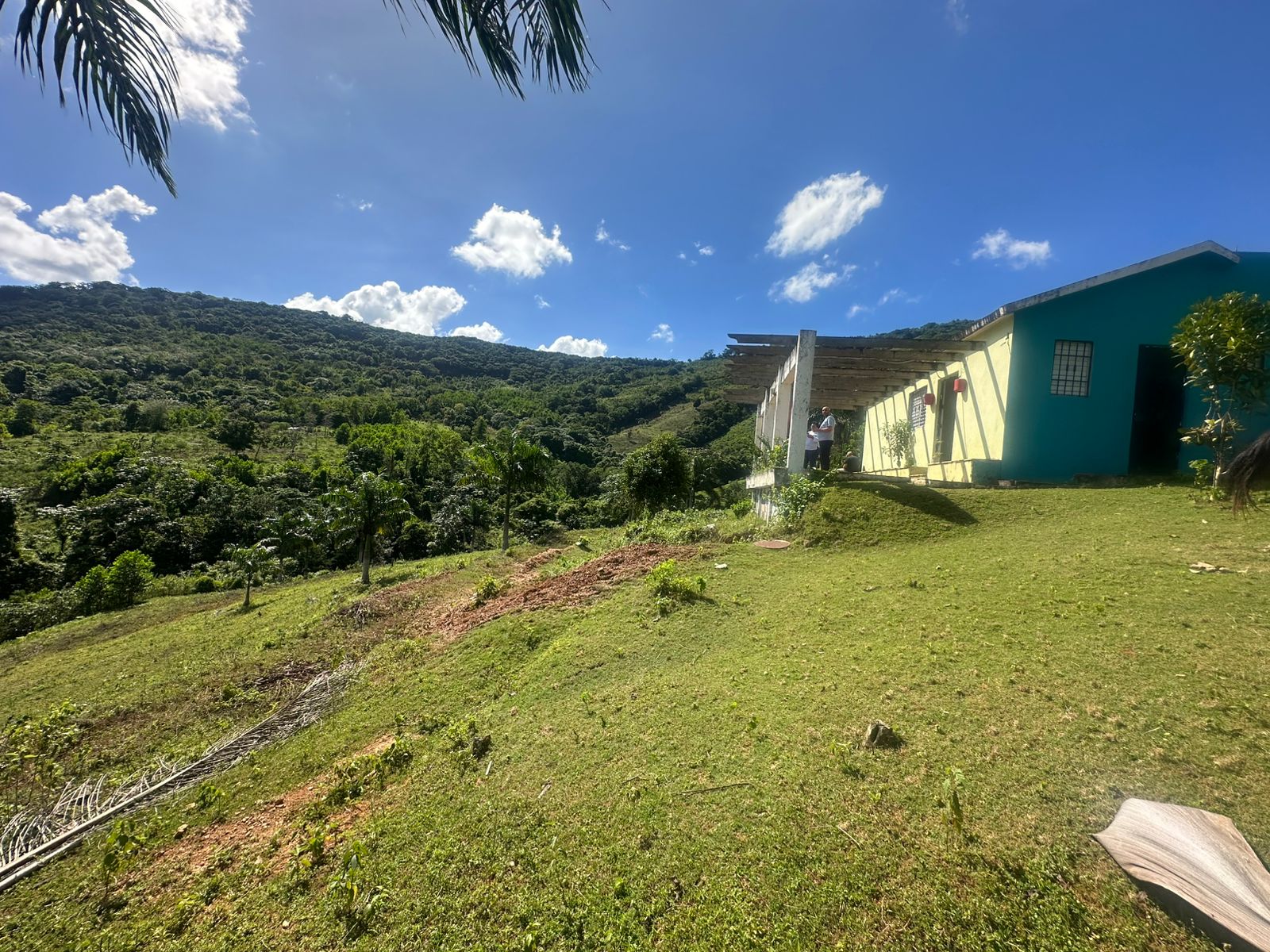 Finca de 30 tareas con casa campestre en Yamasá  Foto 7270729-5.jpg