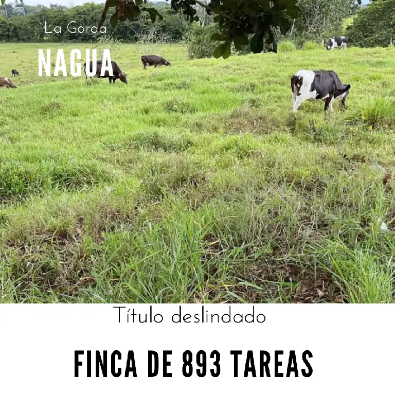 Finca de 893 tareas Ganaderas con vocación Agrícolas en Nagua Foto 7270761-1.jpg