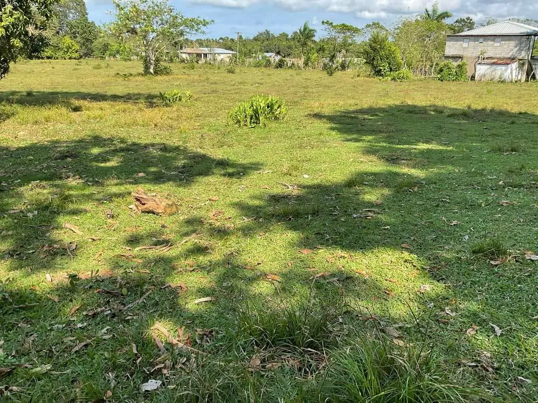 Finca de 893 tareas Ganaderas con vocación Agrícolas en Nagua Foto 7270761-10.jpg