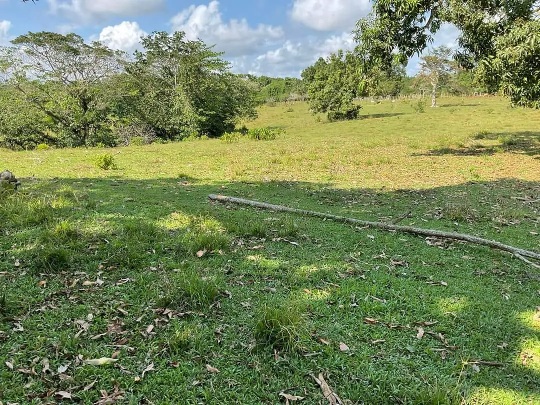 Finca de 893 tareas Ganaderas con vocación Agrícolas en Nagua Foto 7270761-12.jpg