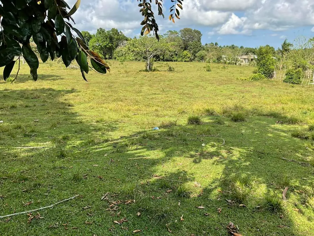 Finca de 893 tareas Ganaderas con vocación Agrícolas en Nagua Foto 7270761-13.jpg