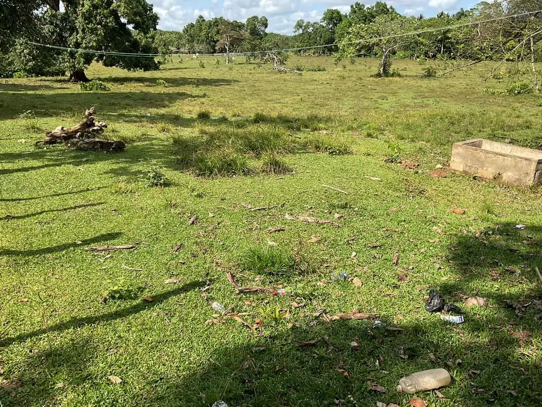 Finca de 893 tareas Ganaderas con vocación Agrícolas en Nagua Foto 7270761-14.jpg