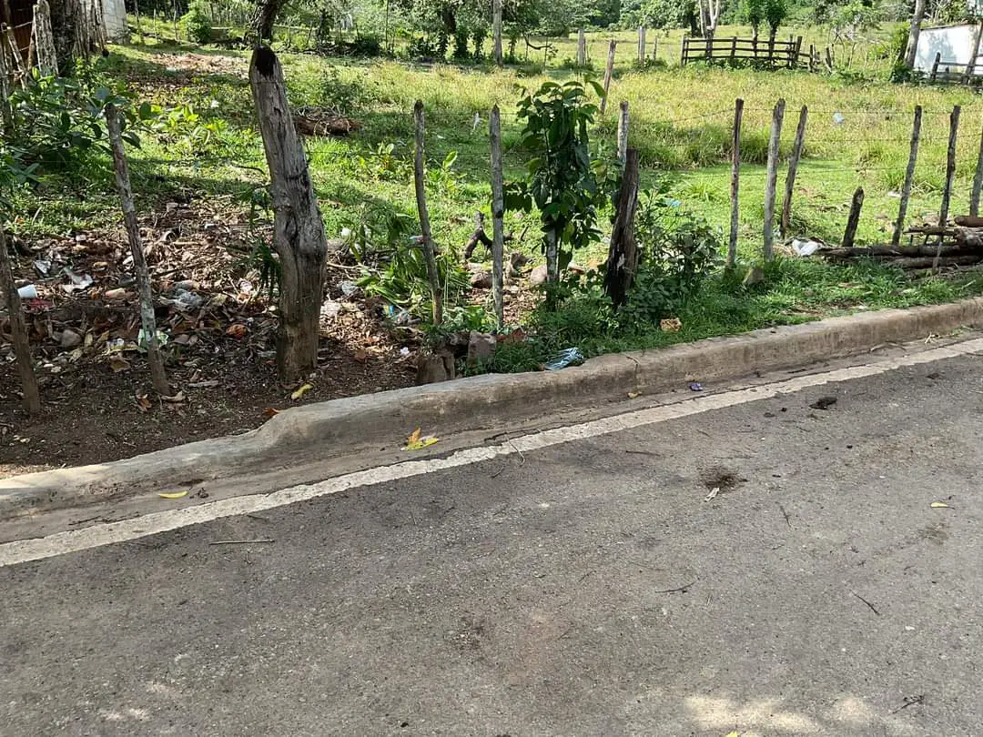 Finca de 893 tareas Ganaderas con vocación Agrícolas en Nagua Foto 7270761-15.jpg
