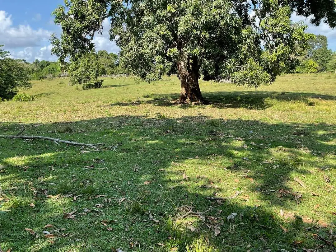 Finca de 893 tareas Ganaderas con vocación Agrícolas en Nagua Foto 7270761-7.jpg