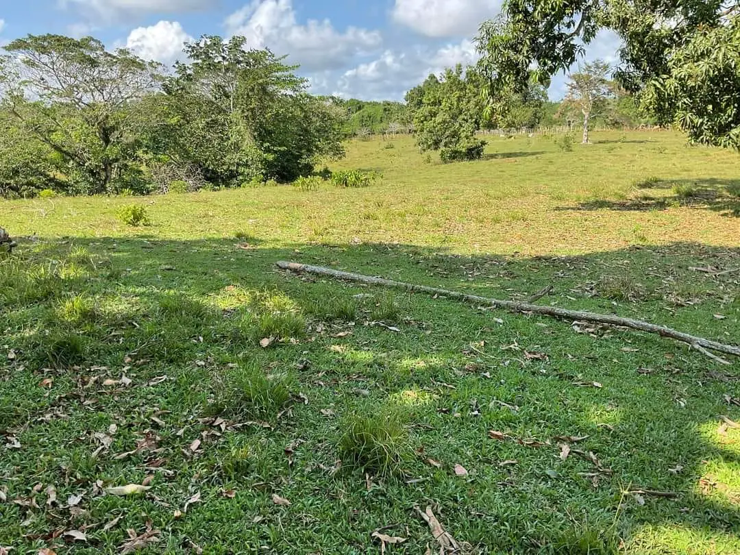 Finca de 893 tareas Ganaderas con vocación Agrícolas en Nagua Foto 7270761-8.jpg