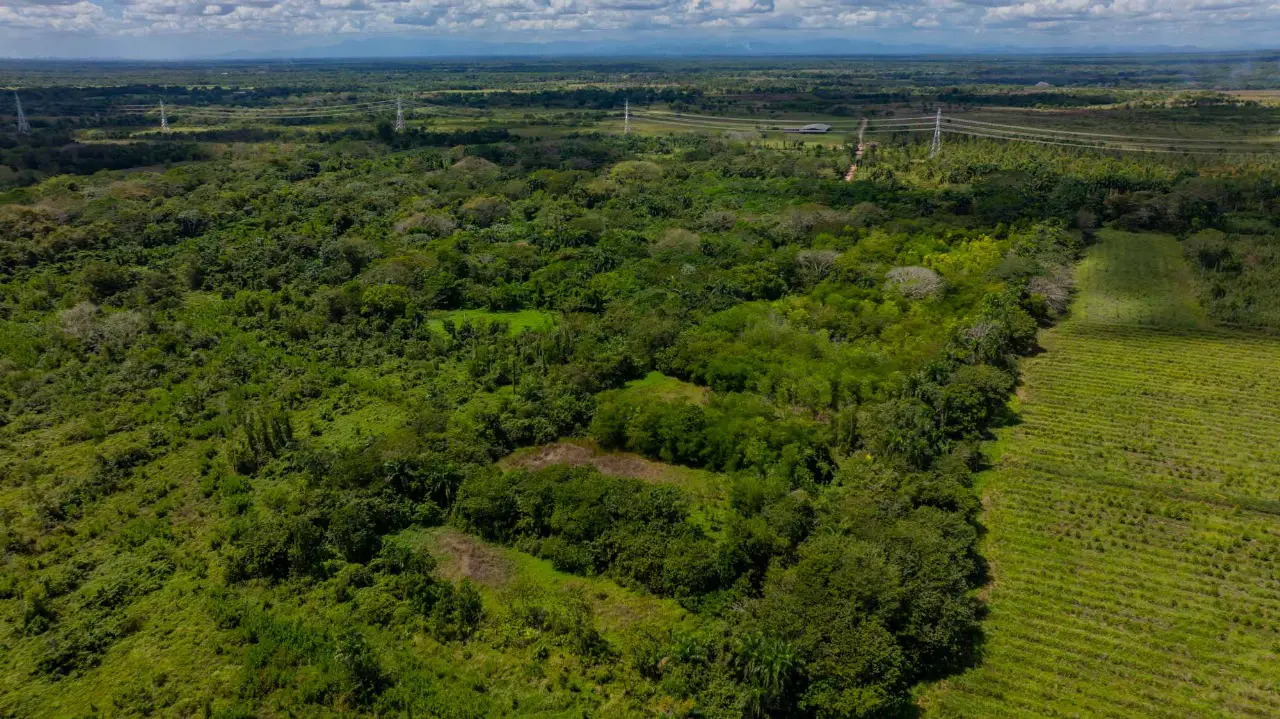 Finca de 1700 tareas con vocación Agrícola y Ganadera en carretera Gue Foto 7270834-8.jpg