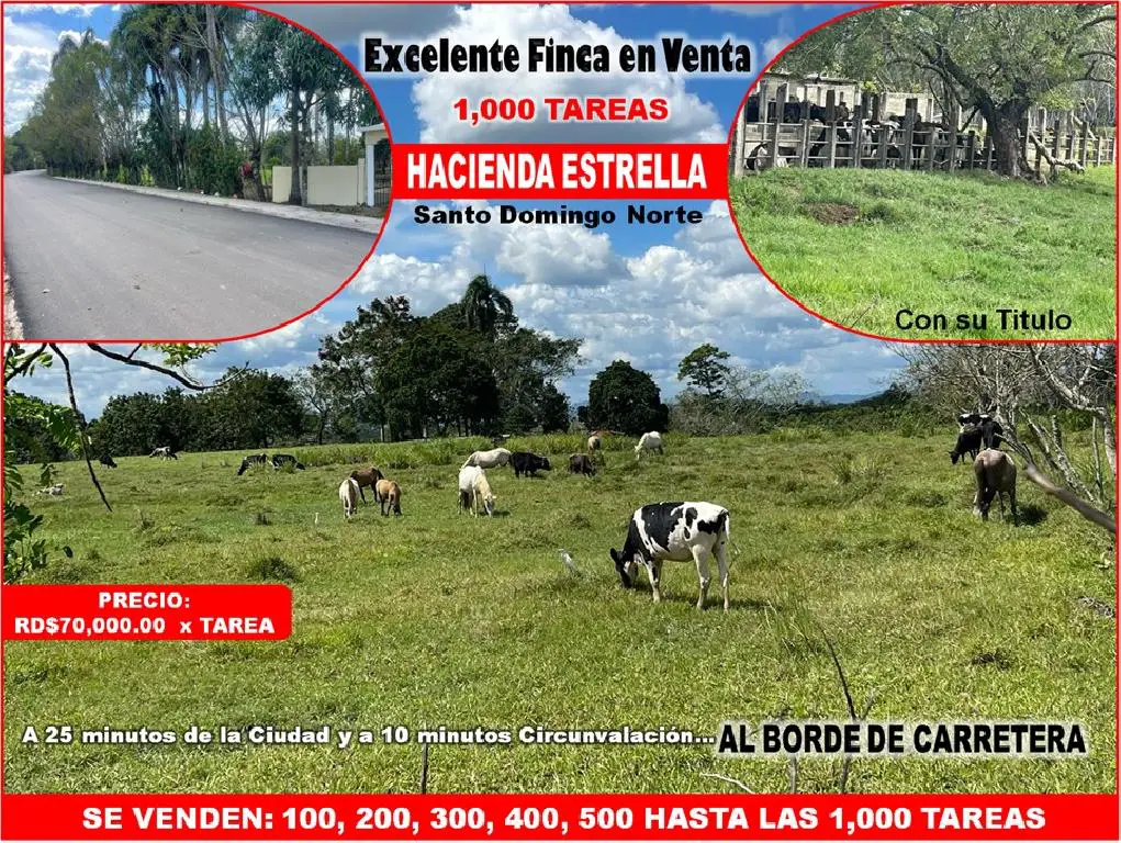 VENDO FINCA 1000 TAREAS HACIENDA ESTRELLA POR PARTES O COMPLETA A LA O Foto 7270861-1.jpg