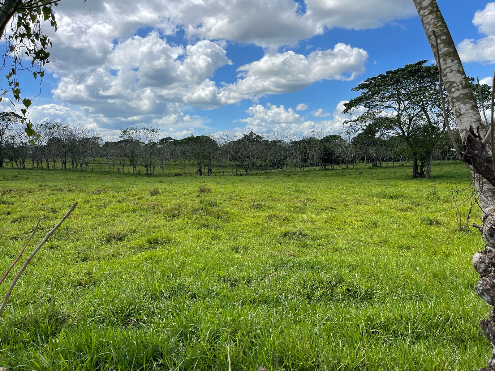 VENDO FINCA 1000 TAREAS HACIENDA ESTRELLA POR PARTES O COMPLETA A LA O Foto 7270861-13.jpg
