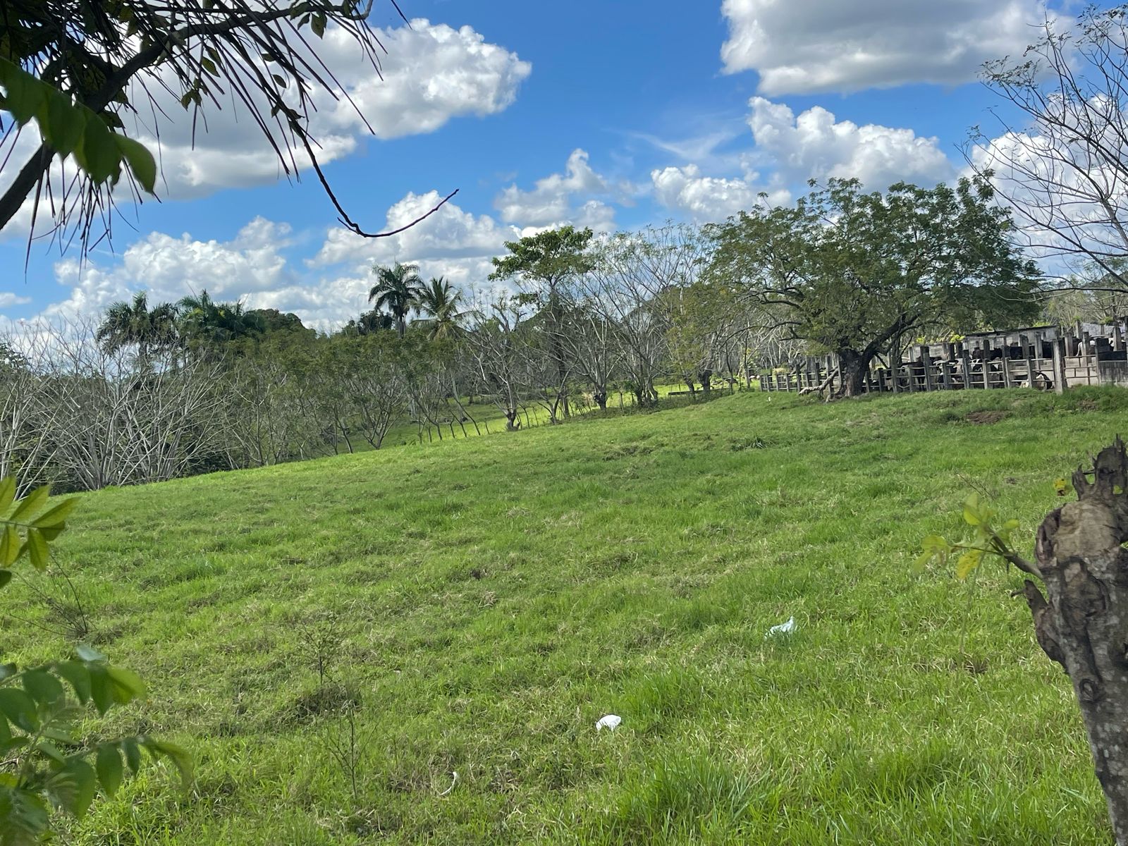 VENDO FINCA 1000 TAREAS HACIENDA ESTRELLA POR PARTES O COMPLETA A LA O Foto 7270861-4.jpg