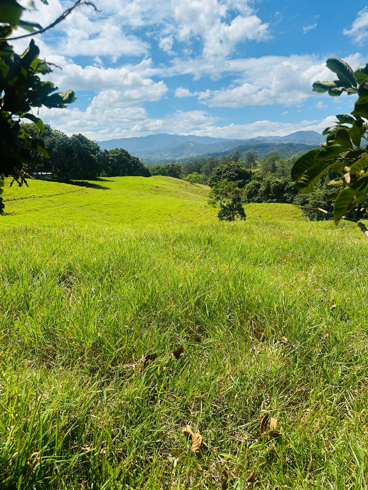 Se Vende Finca con Vista Panorámica en Jarabacoa Foto 7270898-10.jpg