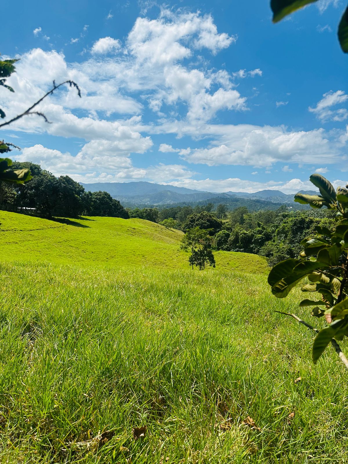 Se Vende Finca con Vista Panorámica en Jarabacoa Foto 7270898-2.jpg
