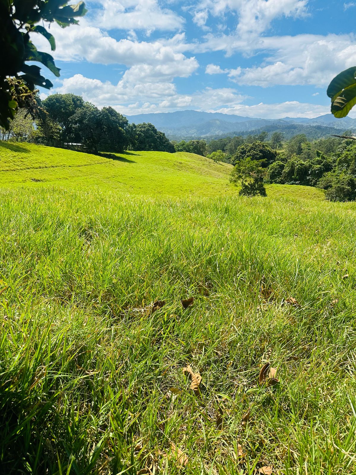 Se Vende Finca con Vista Panorámica en Jarabacoa Foto 7270898-3.jpg