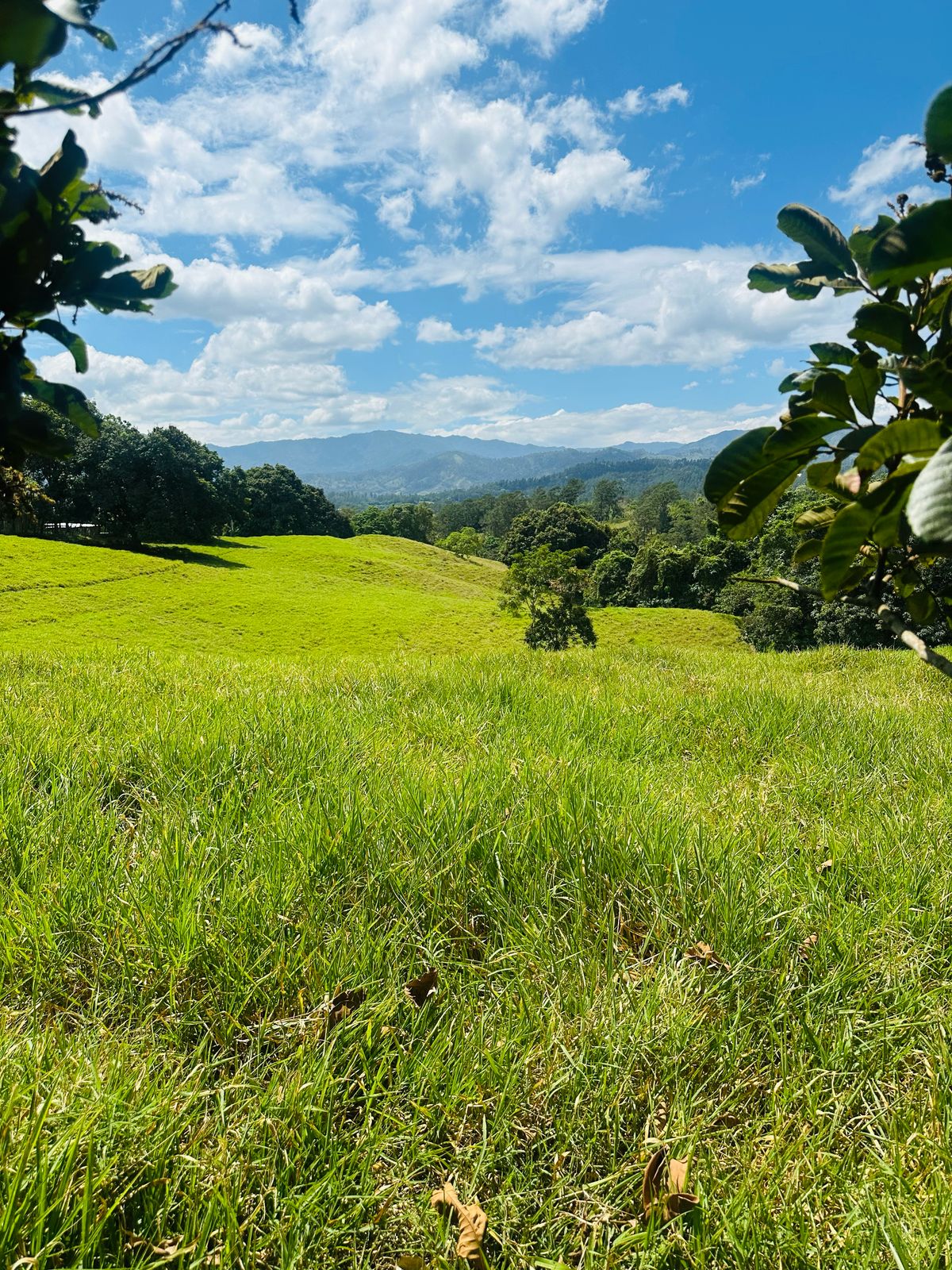 Se Vende Finca con Vista Panorámica en Jarabacoa Foto 7270898-8.jpg