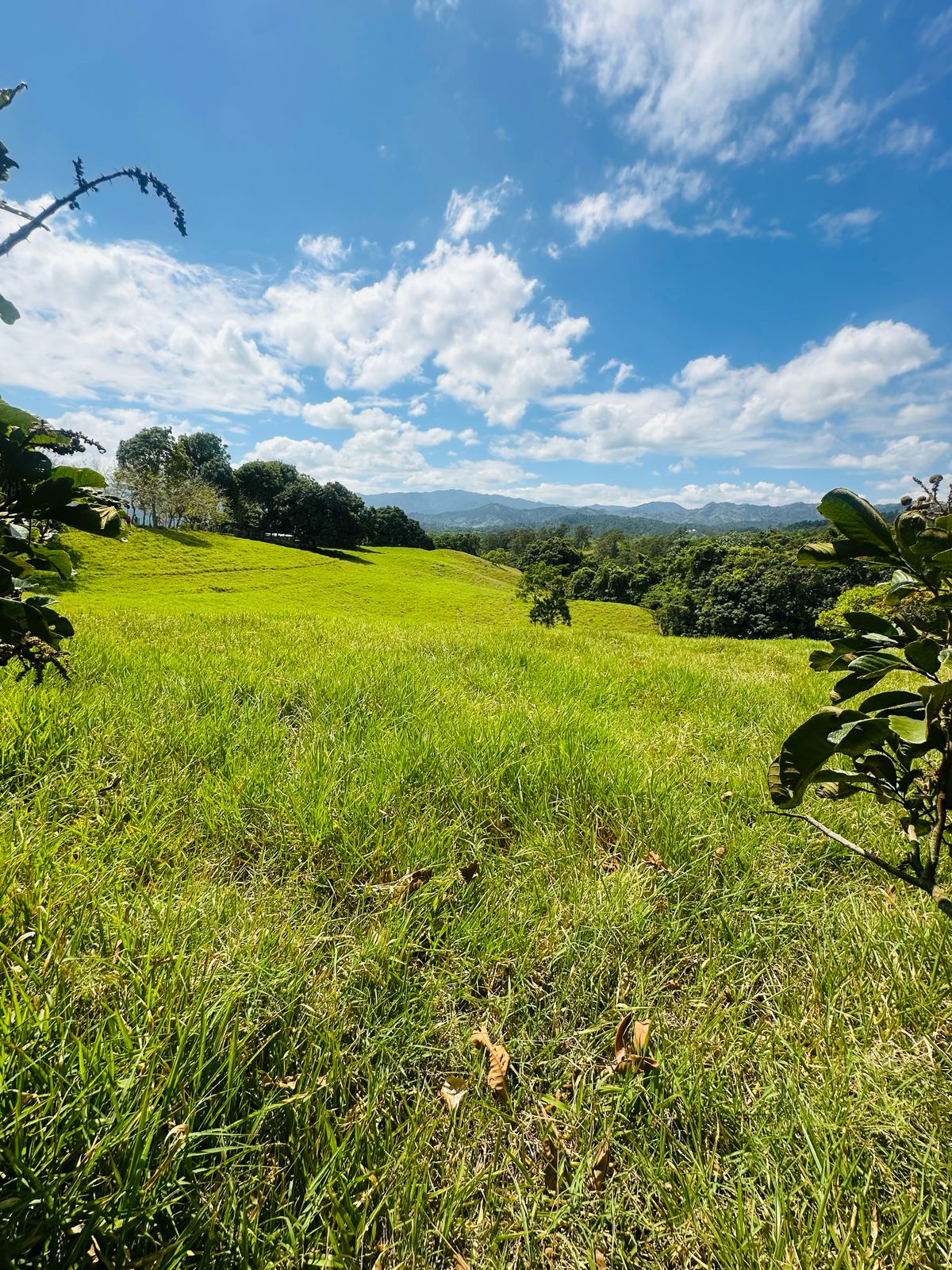 Se Vende Finca con Vista Panorámica en Jarabacoa Foto 7270898-9.jpg
