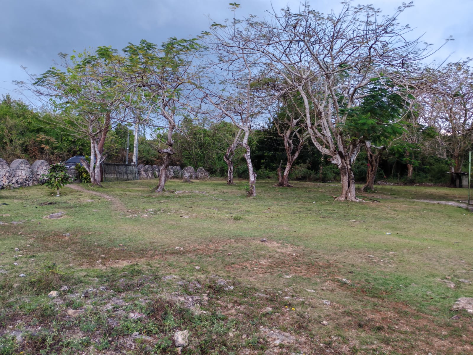 Vendo 14000 Mts.2 de Terreno JUSTO AL LADO de GUAVABERRY en Juan Dolio Foto 7270934-2.jpg