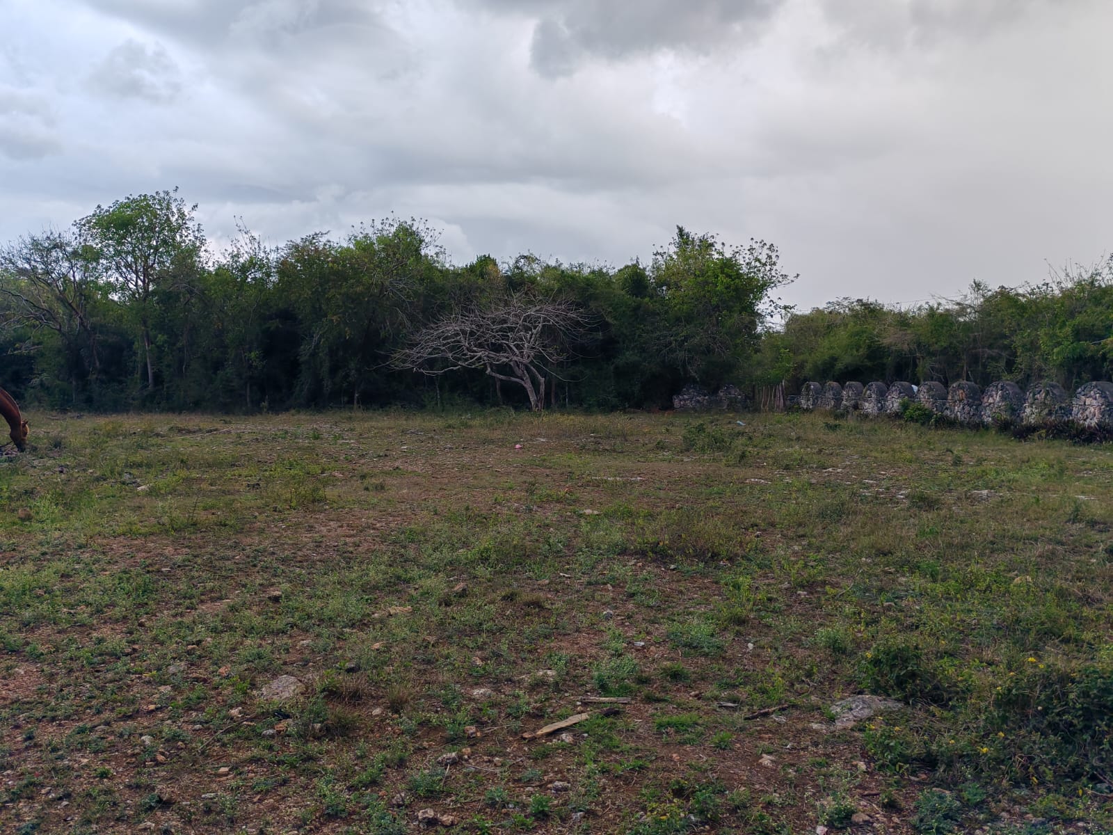 Vendo 14000 Mts.2 de Terreno JUSTO AL LADO de GUAVABERRY en Juan Dolio Foto 7270934-5.jpg