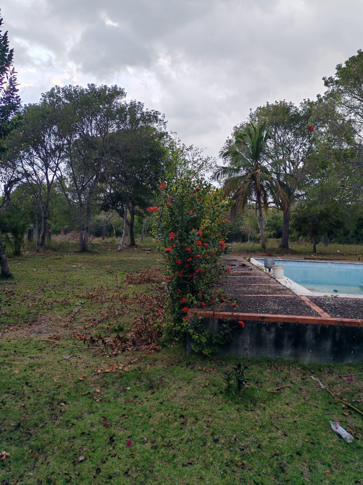 Vendo 14000 Mts.2 de Terreno JUSTO AL LADO de GUAVABERRY en Juan Dolio Foto 7270934-7.jpg