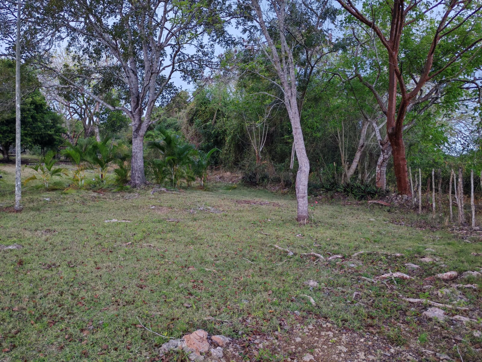 Vendo 14000 Mts.2 de Terreno JUSTO AL LADO de GUAVABERRY en Juan Dolio Foto 7270934-9.jpg