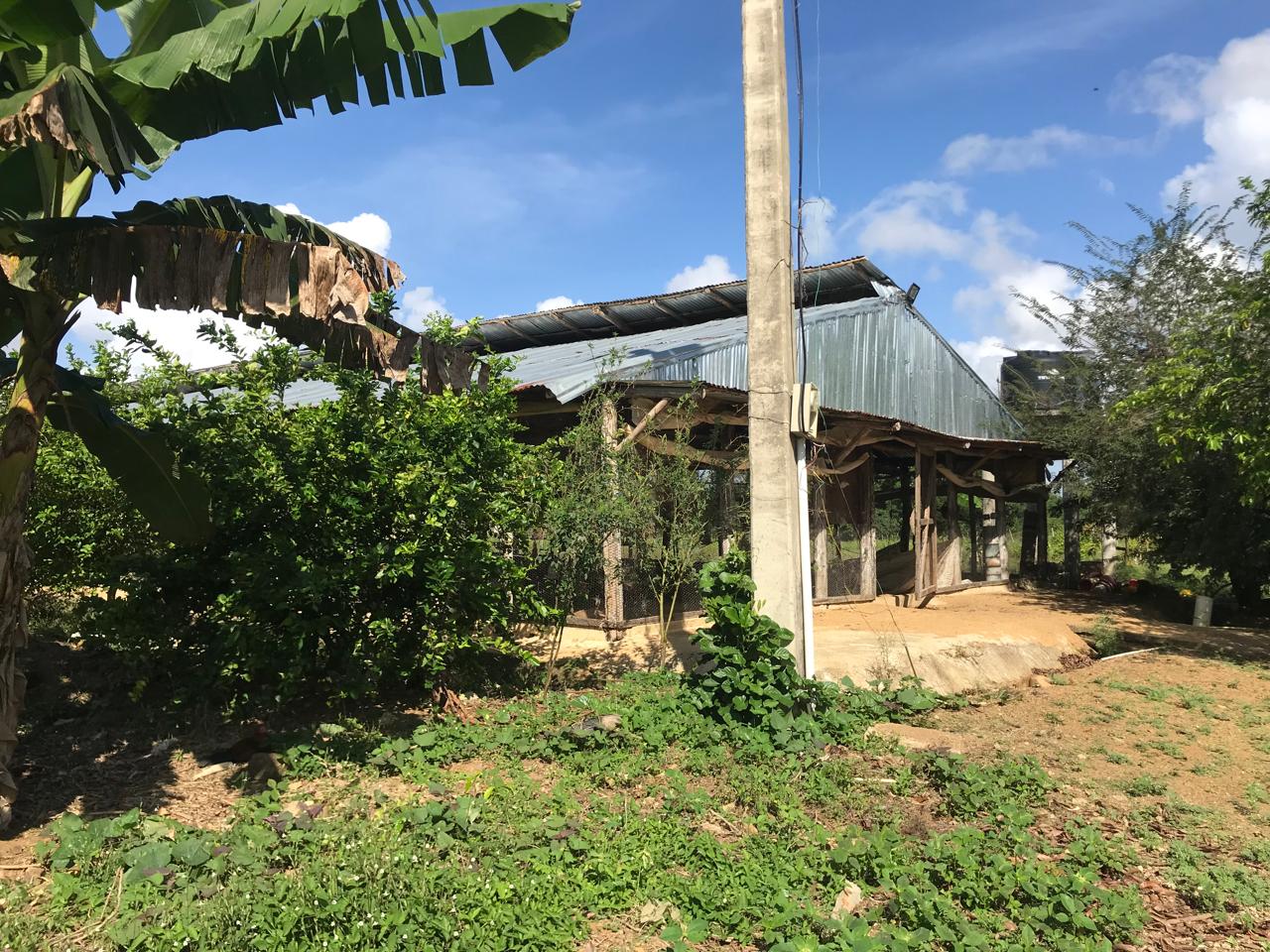Finca de 47 tareas con granja de pollos en Monte Plata Foto 7271007-2.jpg