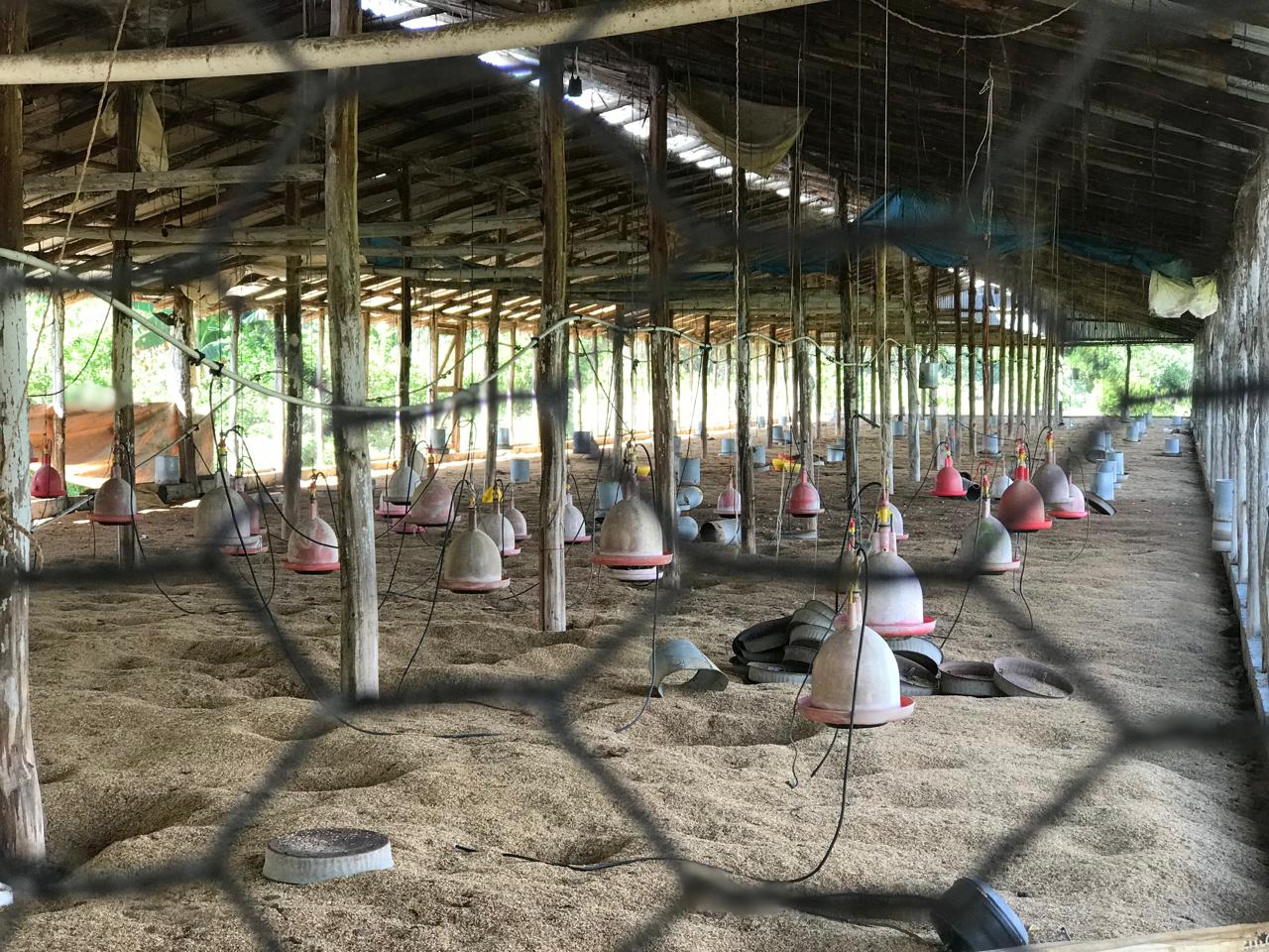 Finca de 47 tareas con granja de pollos en Monte Plata Foto 7271007-3.jpg