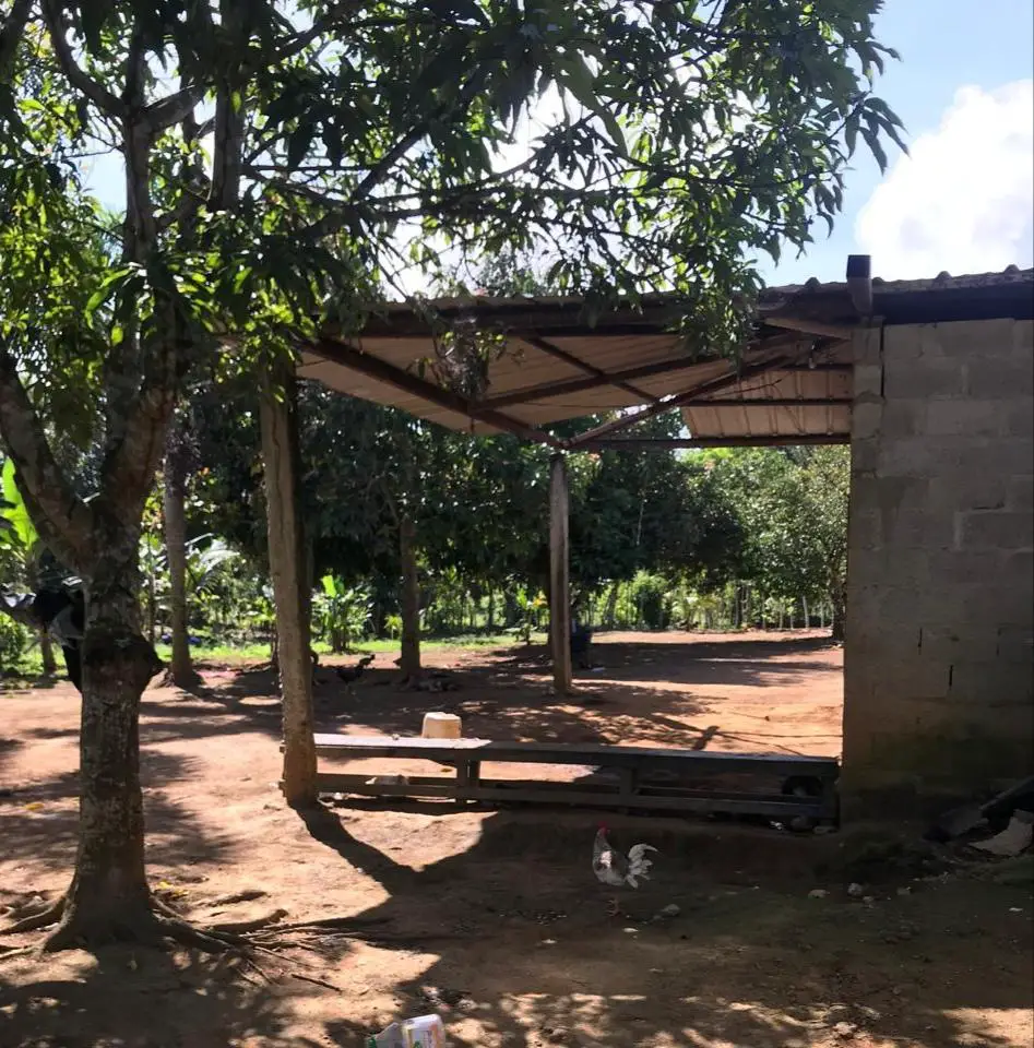 Finca de 47 tareas con granja de pollos en Monte Plata Foto 7271007-6.jpg