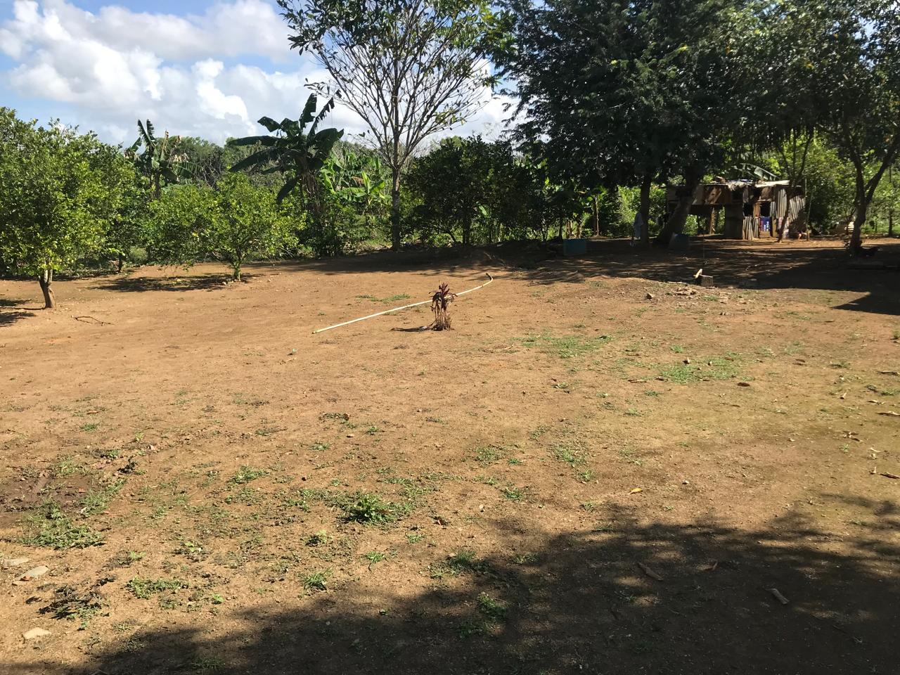 Finca de 47 tareas con granja de pollos en Monte Plata Foto 7271007-8.jpg