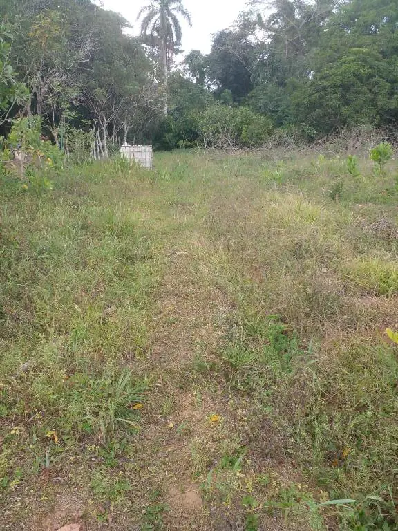 Finca en Venta Monte Plata98 Foto 7271132-4.jpg