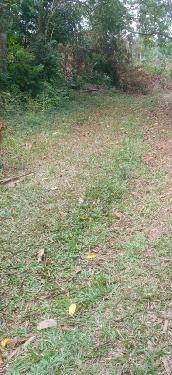 Finca en Venta Monte Plata98 Foto 7271132-5.jpg