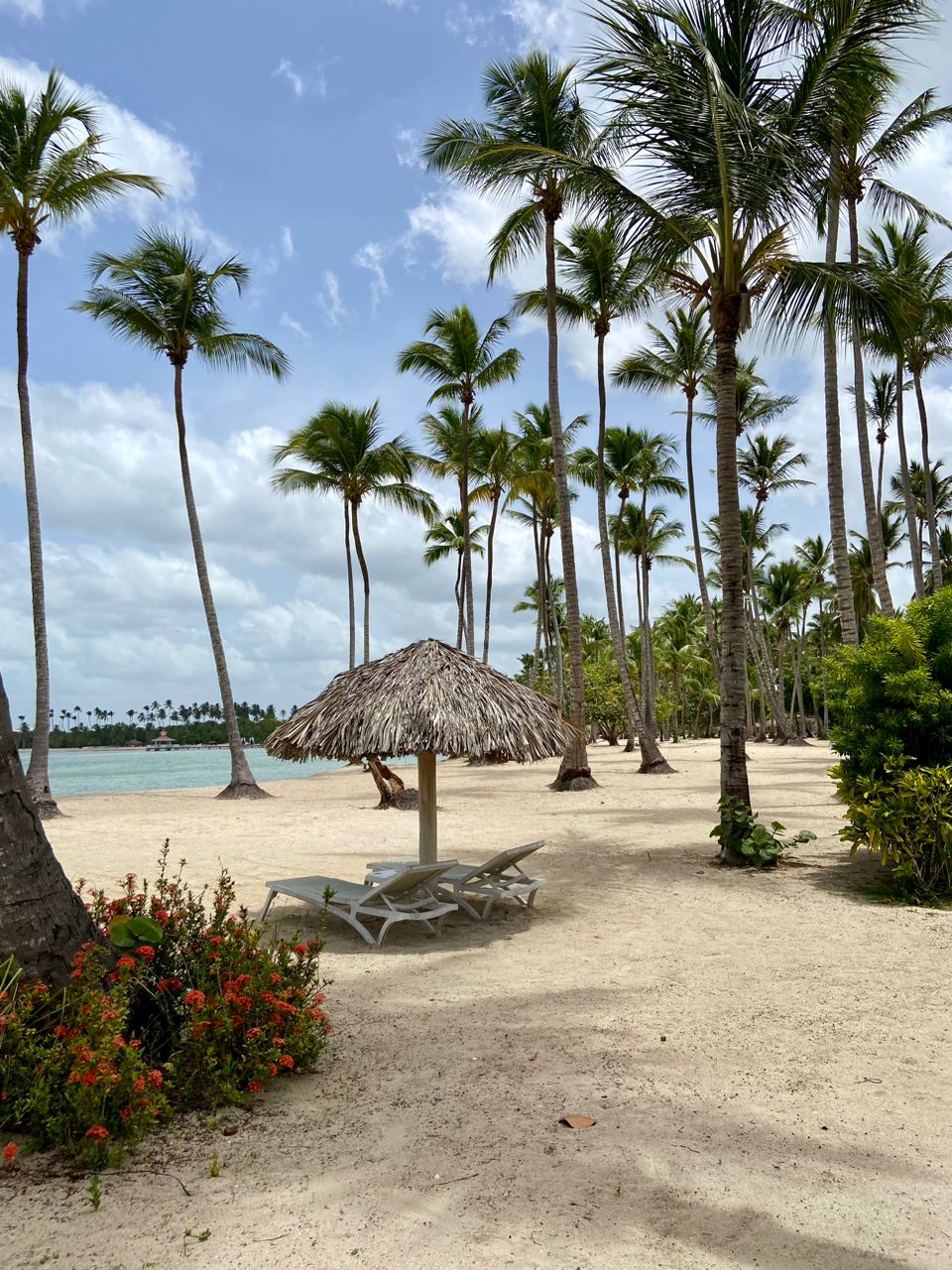 Vendo apartamento en Nueva Playa Romana  Foto 7271256-2.jpg