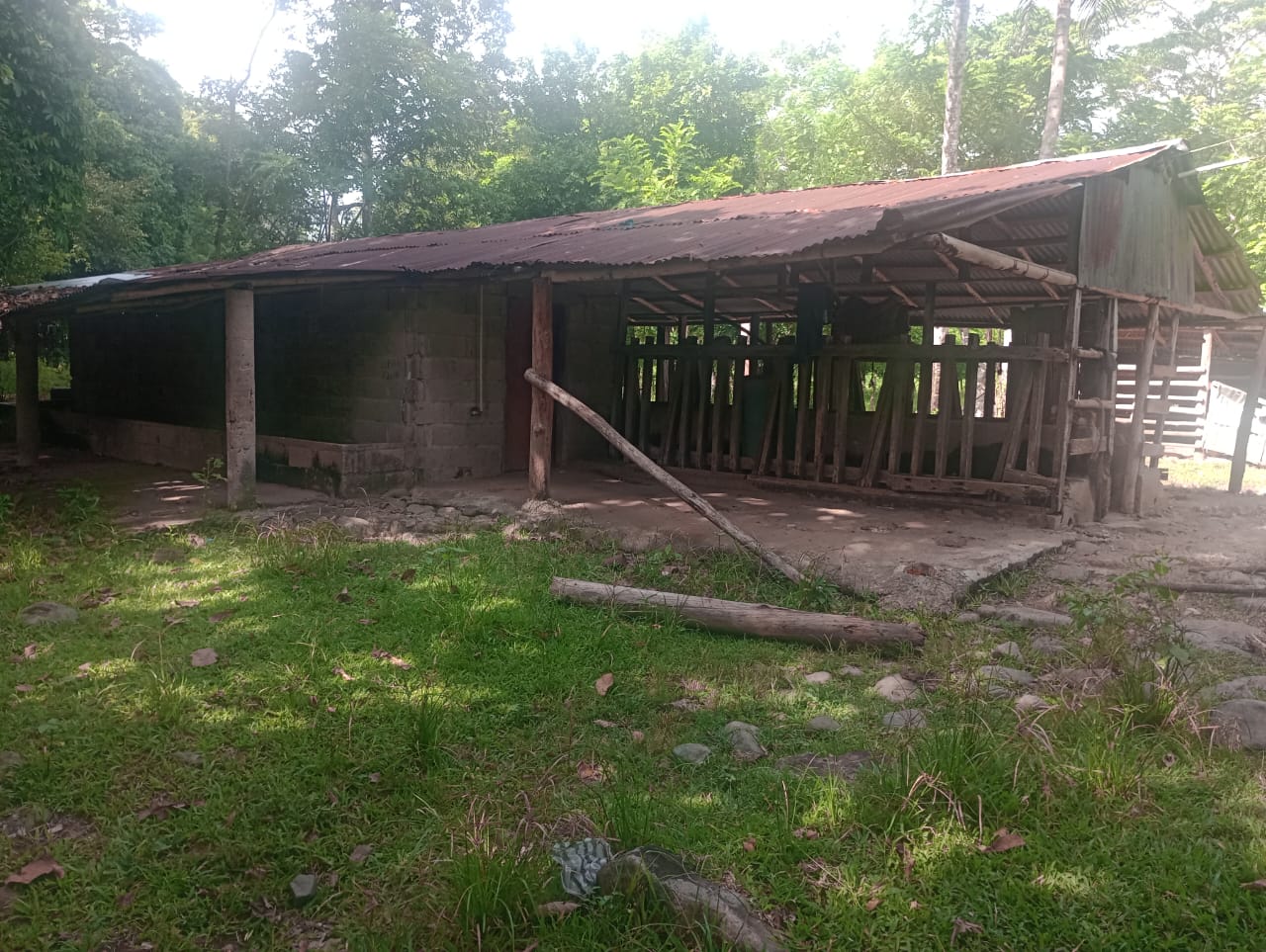 Vendo una finca de 385 tareas Ganadera con vocación Agrícola en Bonao Foto 7271269-11.jpg