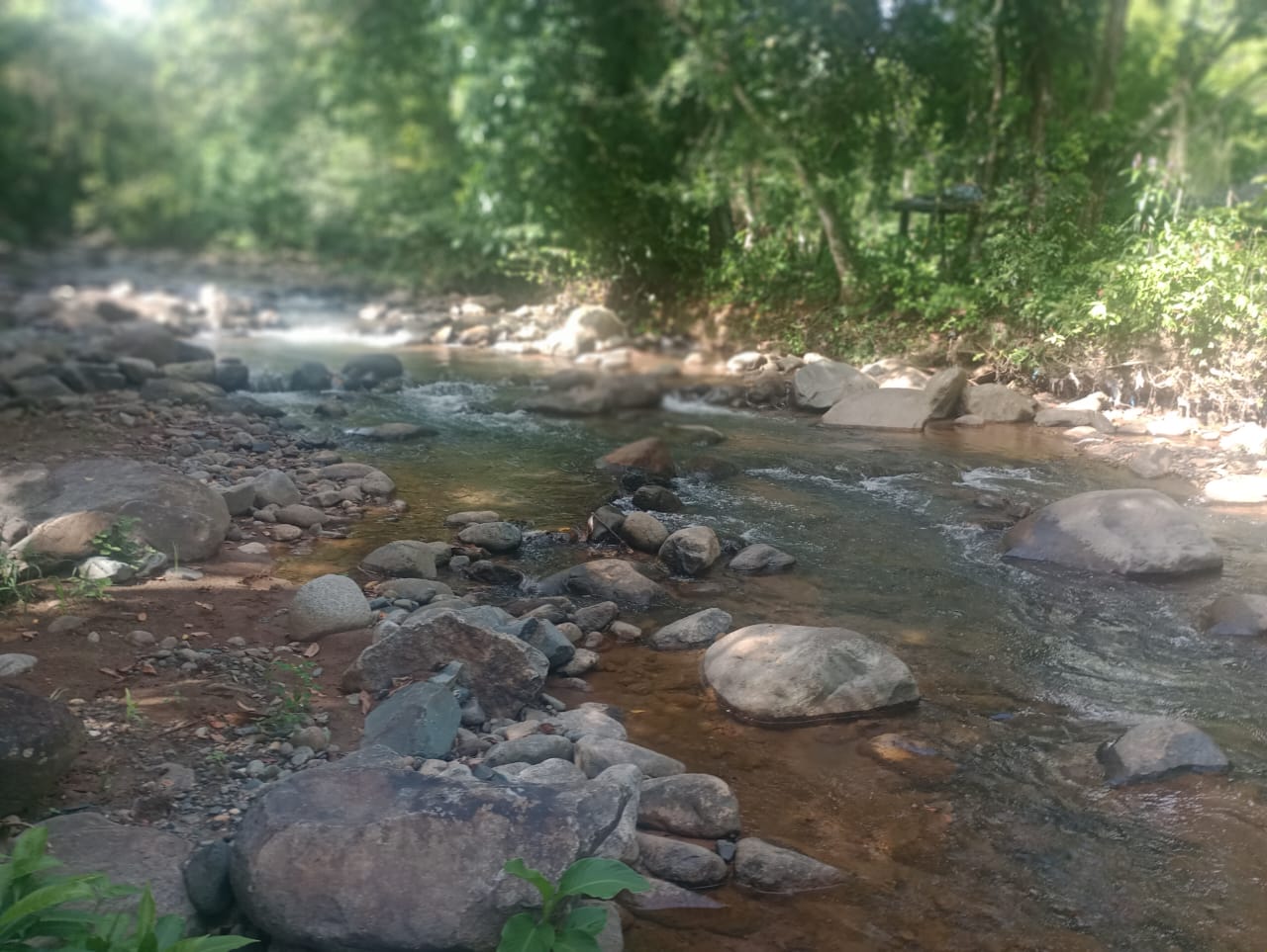 Vendo una finca de 385 tareas Ganadera con vocación Agrícola en Bonao Foto 7271269-6.jpg