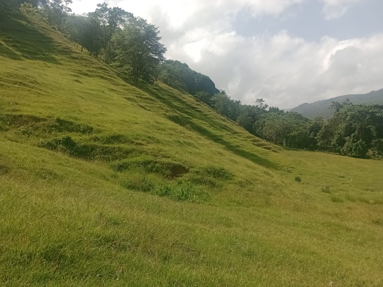 Vendo una finca de 385 tareas Ganadera con vocación Agrícola en Bonao Foto 7271269-7.jpg