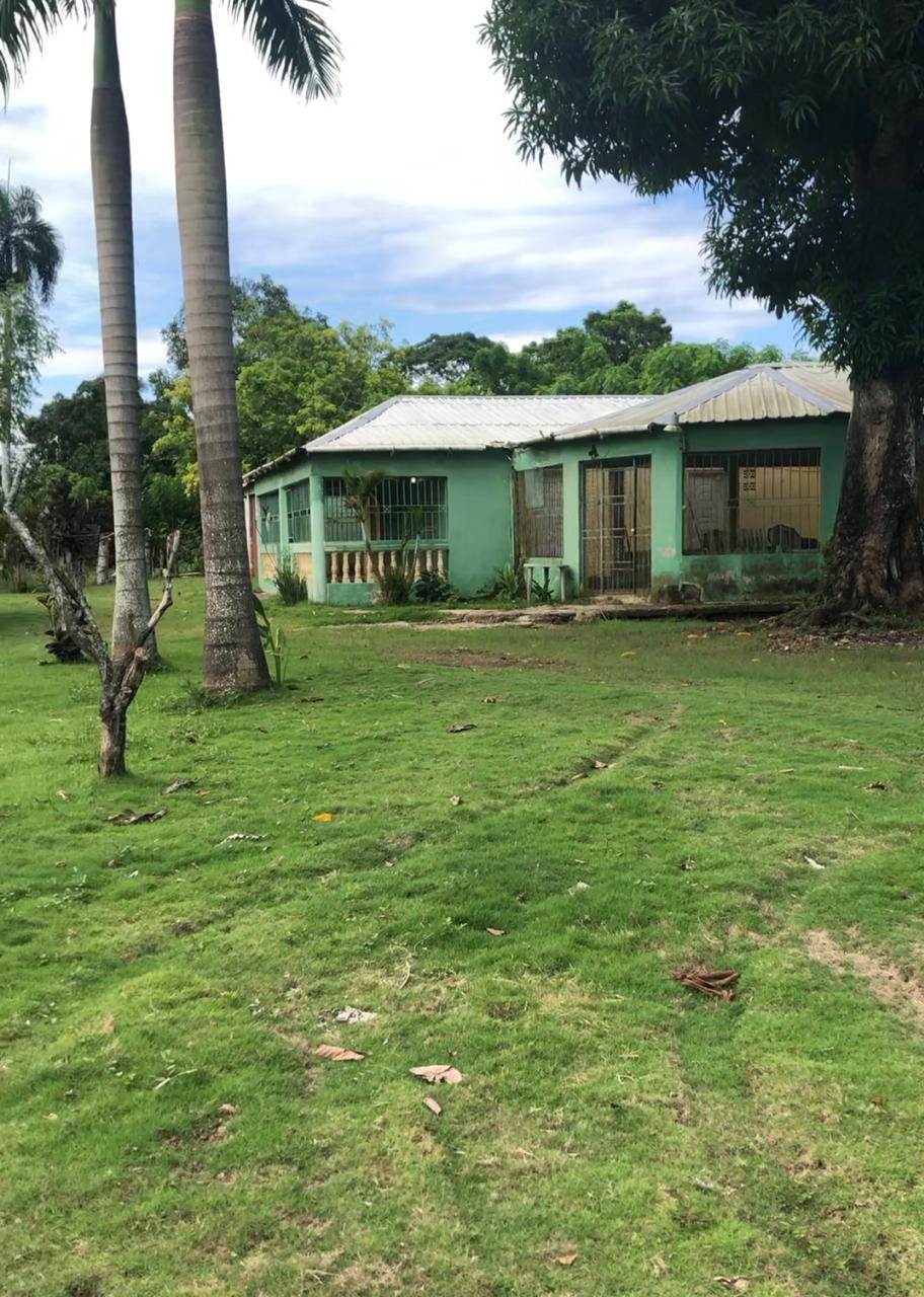 Finca de 254 tareas con Casa campestre y sembrada de grama para la jar Foto 7271312-3.jpg