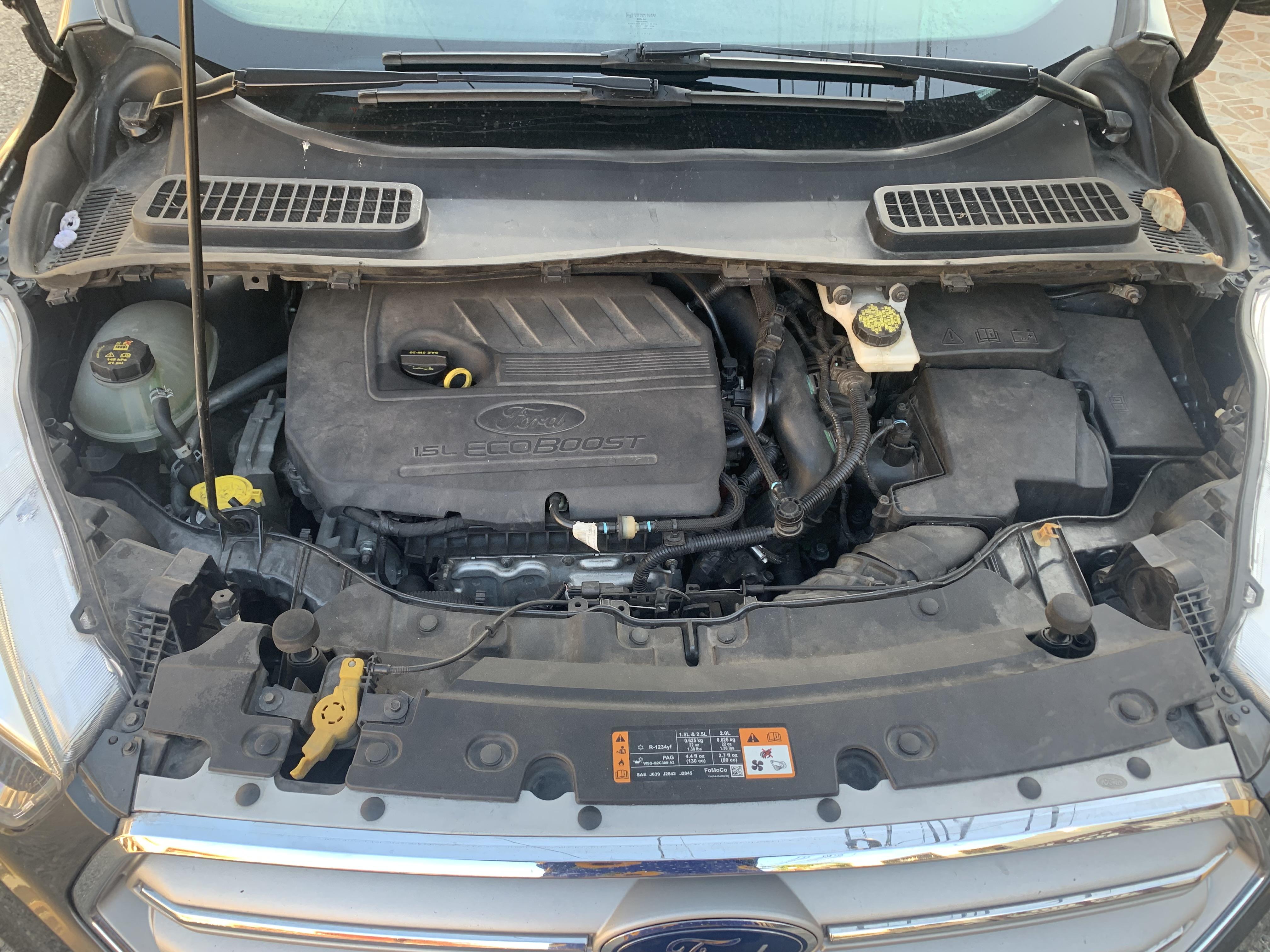 Ford Escape 2018 Foto 7271332-4.jpg