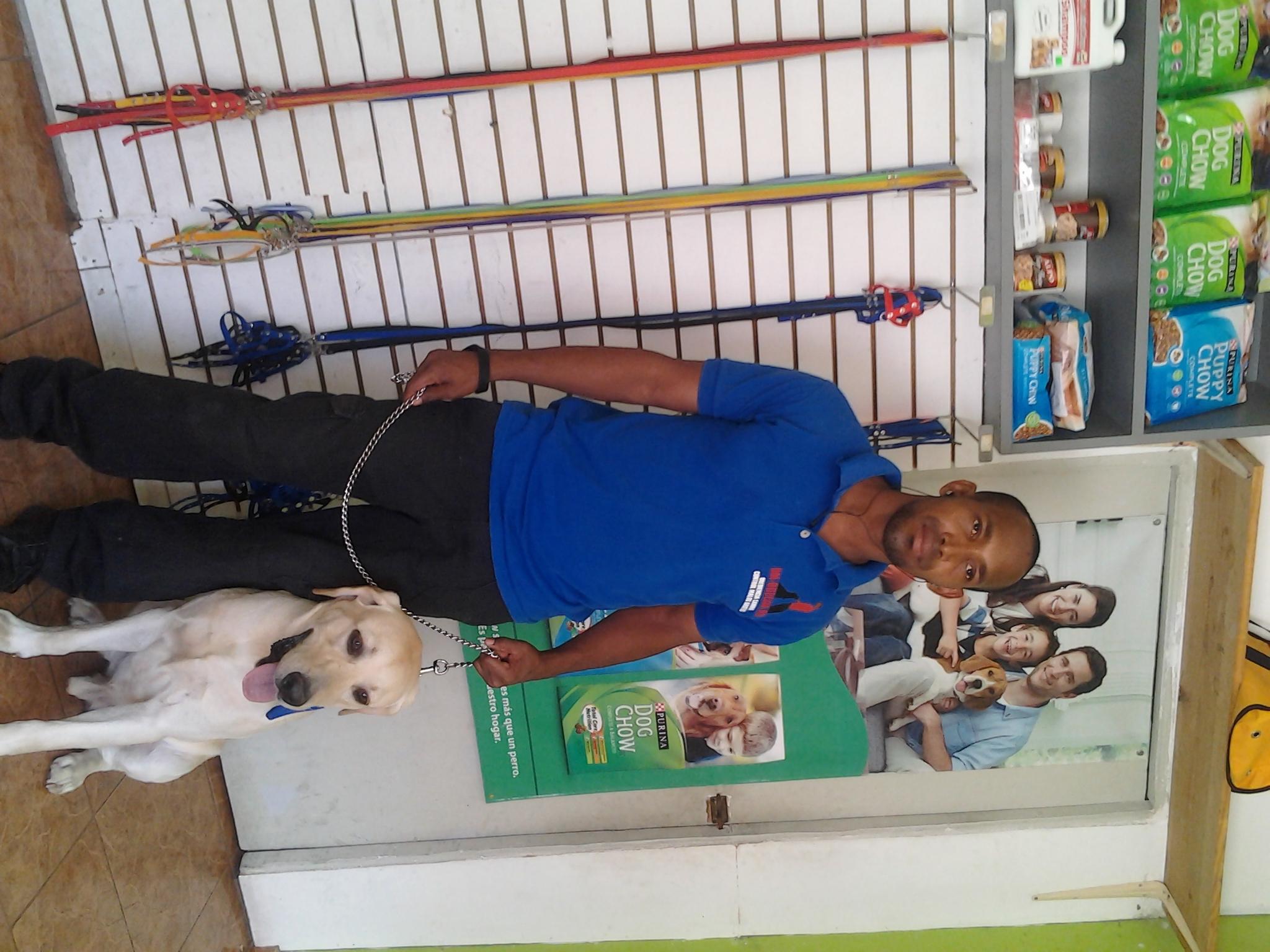 Entrenamiento y asesoría canina Foto 7271407-2.jpg