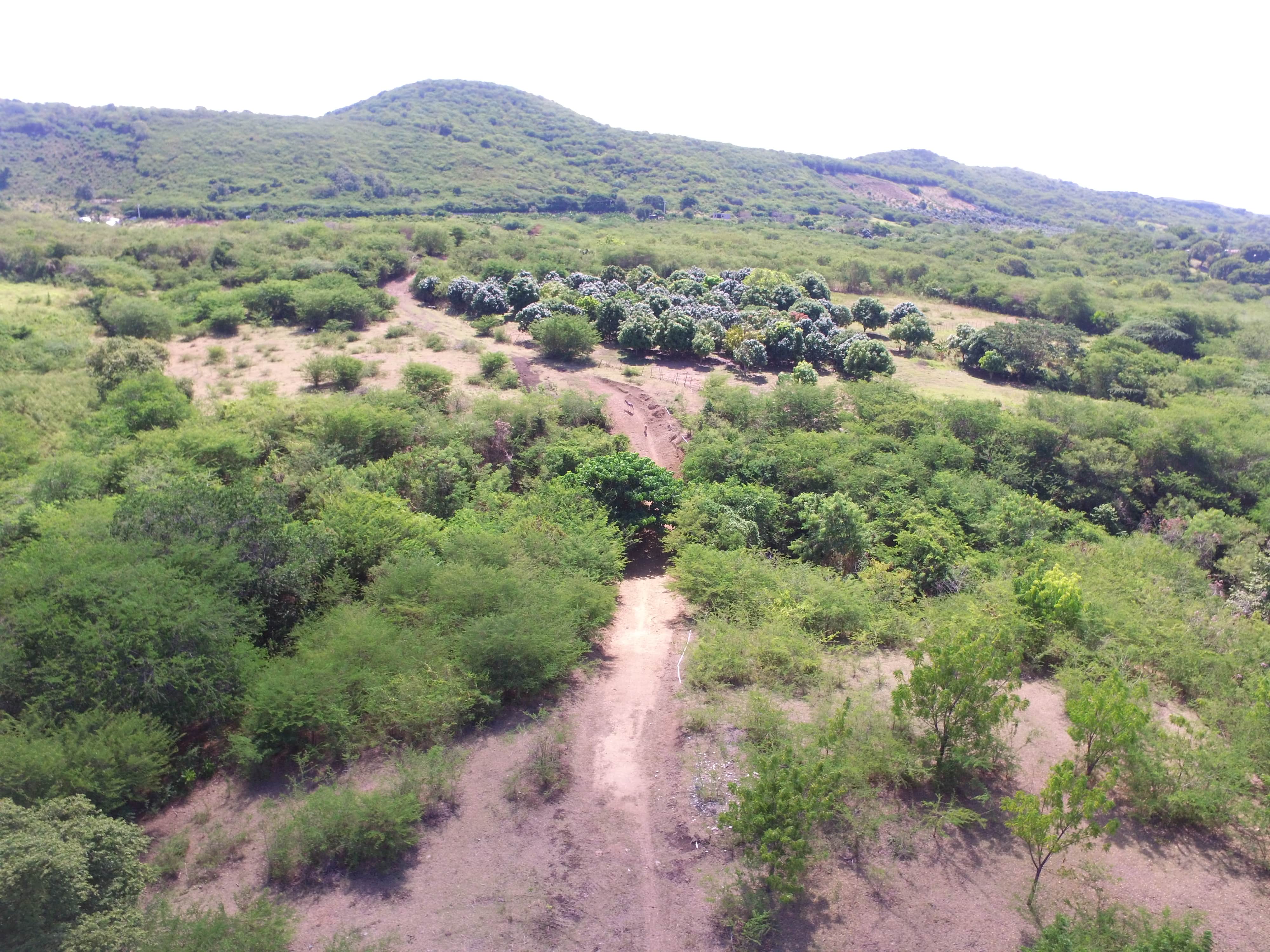 Finca en Bani 189.5 Tarea Foto 7271514-7.jpg