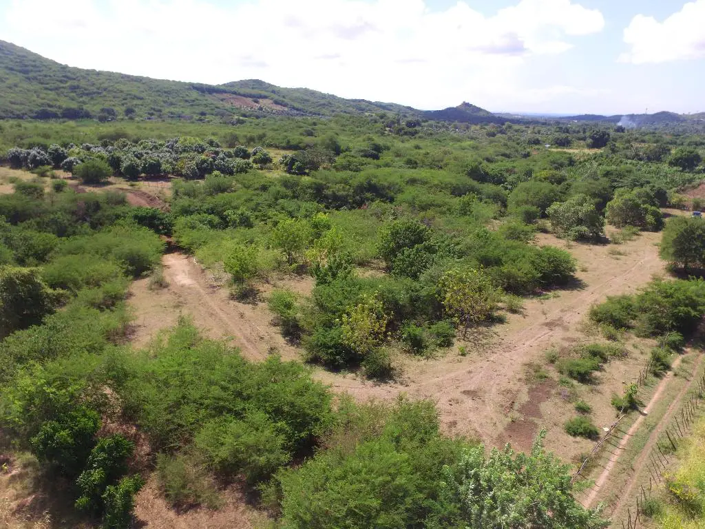 Finca en Venta en Bani con ganado Foto 7271704-10.jpg