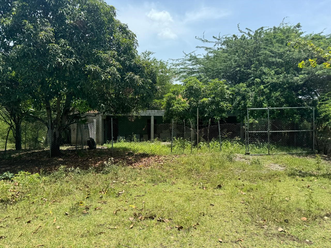 Finca en Venta en Bani con ganado Foto 7271704-7.jpg