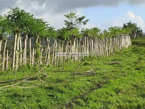 Terrenos en Barahona Foto 7271798-2.jpg