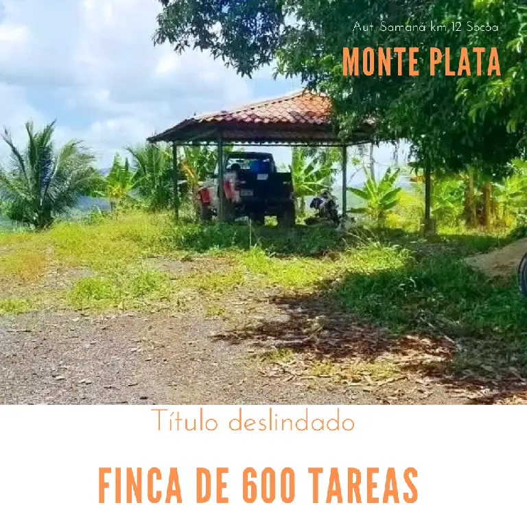 Finca de 600 tareas Agrícolas con Casas  campestres en Monte Plata Foto 7271866-1.jpg