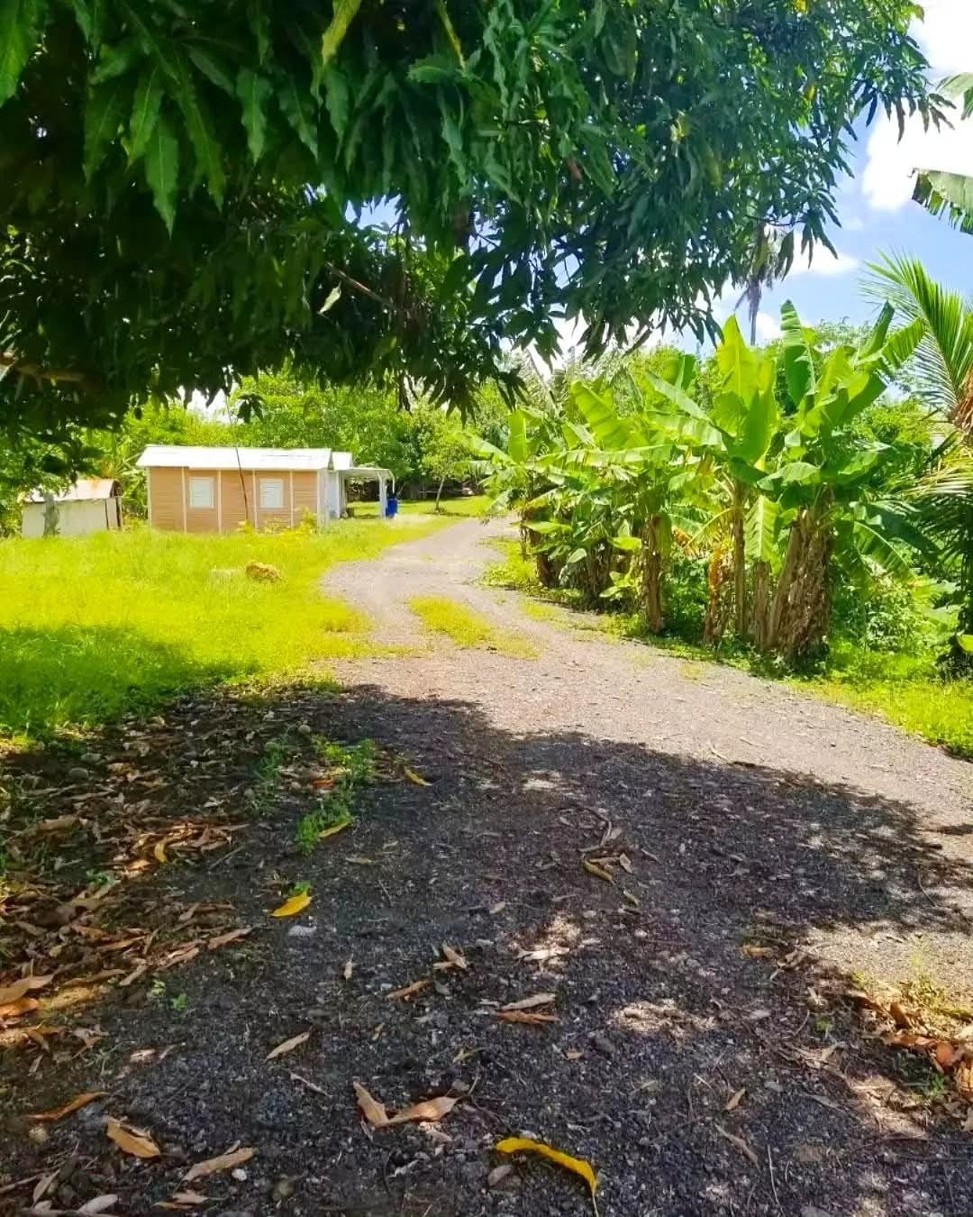 Finca de 180 tareas con casas campestres y agrícola Monte Plata Foto 7271870-3.jpg