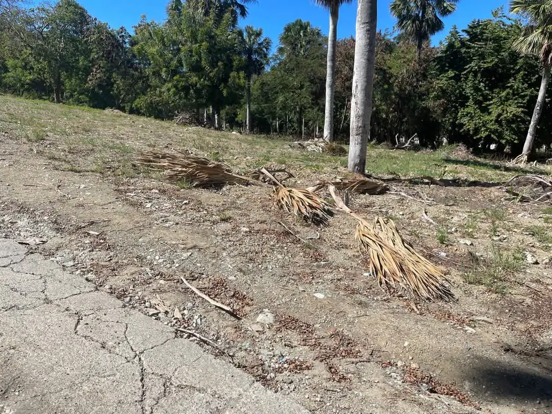 Terreno de 8325 Mts2 en Puerto Plata Foto 7271900-3.jpg