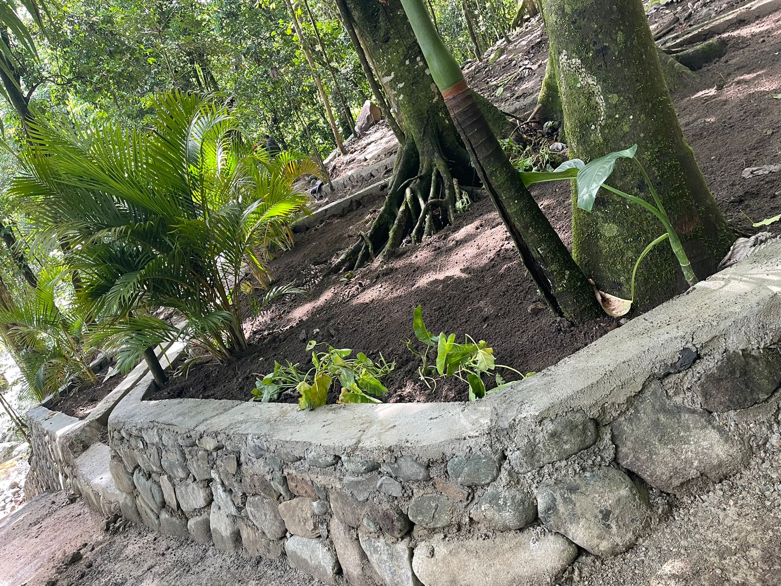 Venta de Terrenos Ecoturísticos en Jarabacoa Foto 7271979-8.jpg