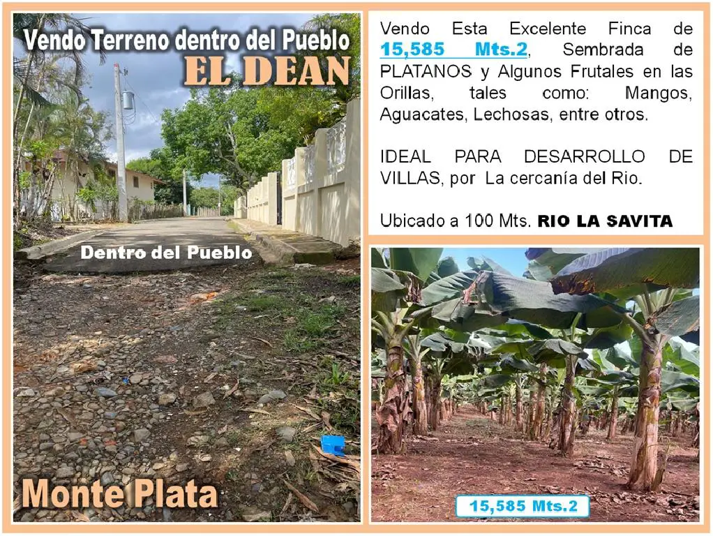 Vendo 15585 Mts.2 SEMBRADO DE PLATANOS y dentro del Pueblo del DEAN Mo Foto 7272161-1.jpg