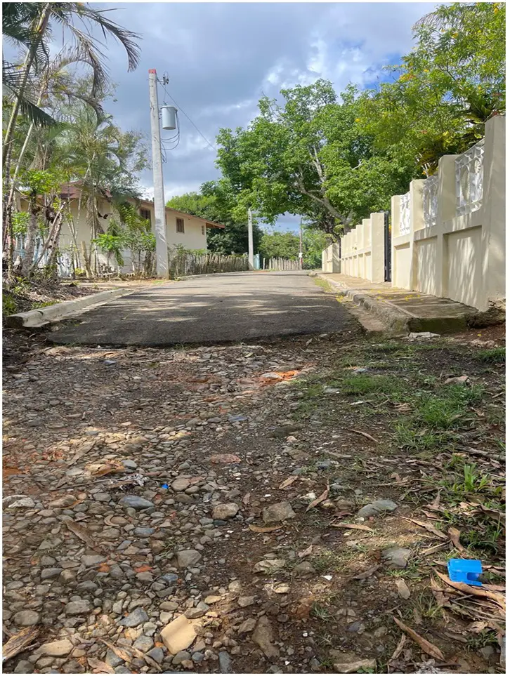 Vendo 15585 Mts.2 SEMBRADO DE PLATANOS y dentro del Pueblo del DEAN Mo Foto 7272161-12.jpg
